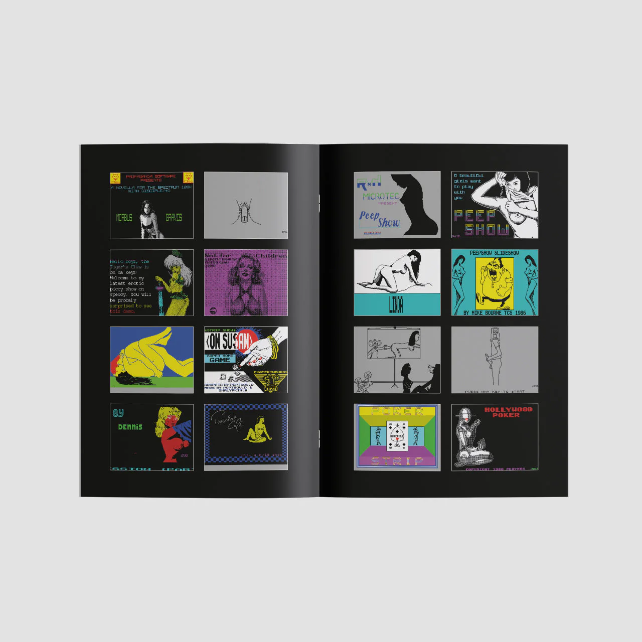 8-Bits Porn Video Book - Image 3