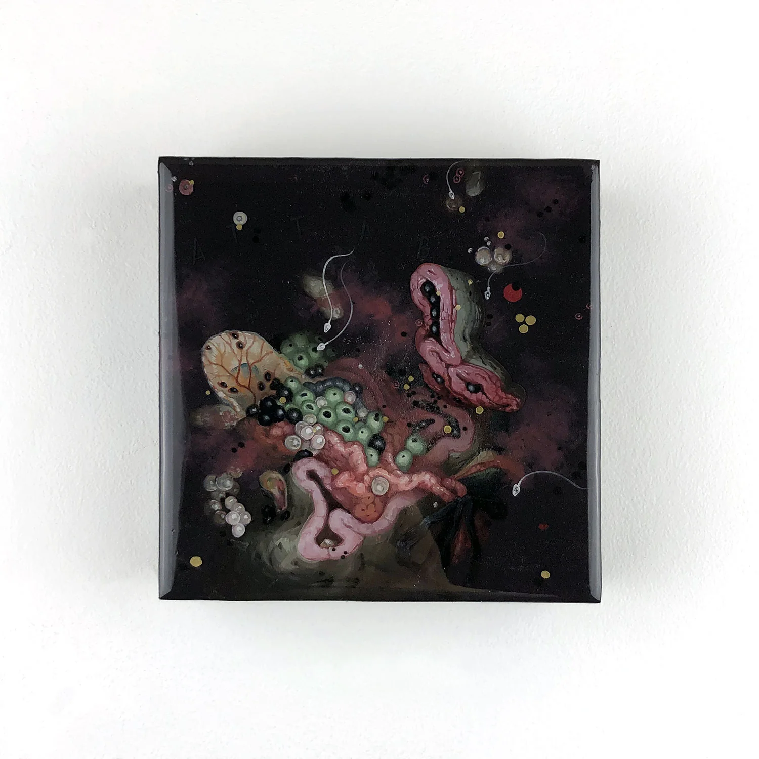 Allison Sommers - Attab'hoy - Image 2