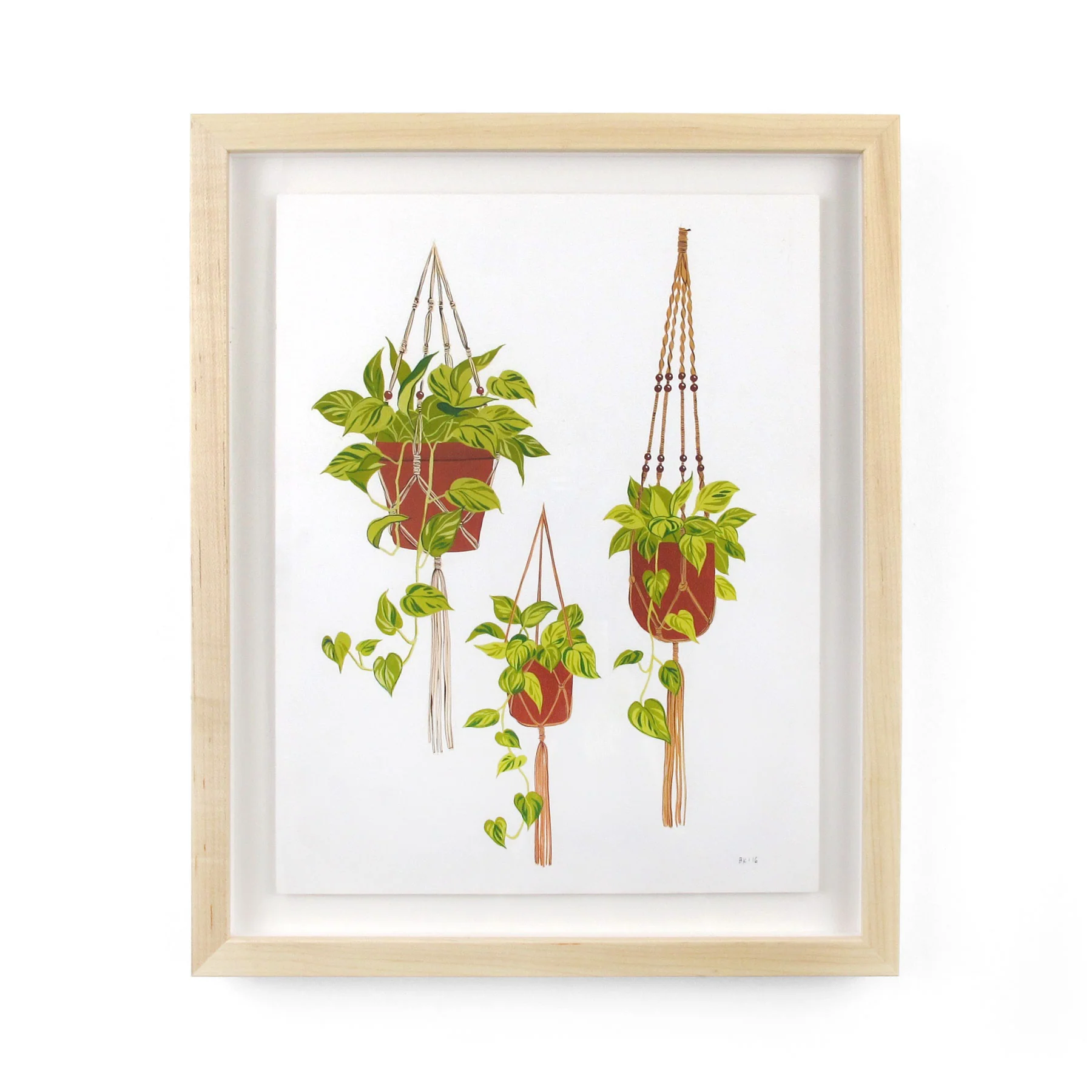 Bijou Karman - Hanging Plants