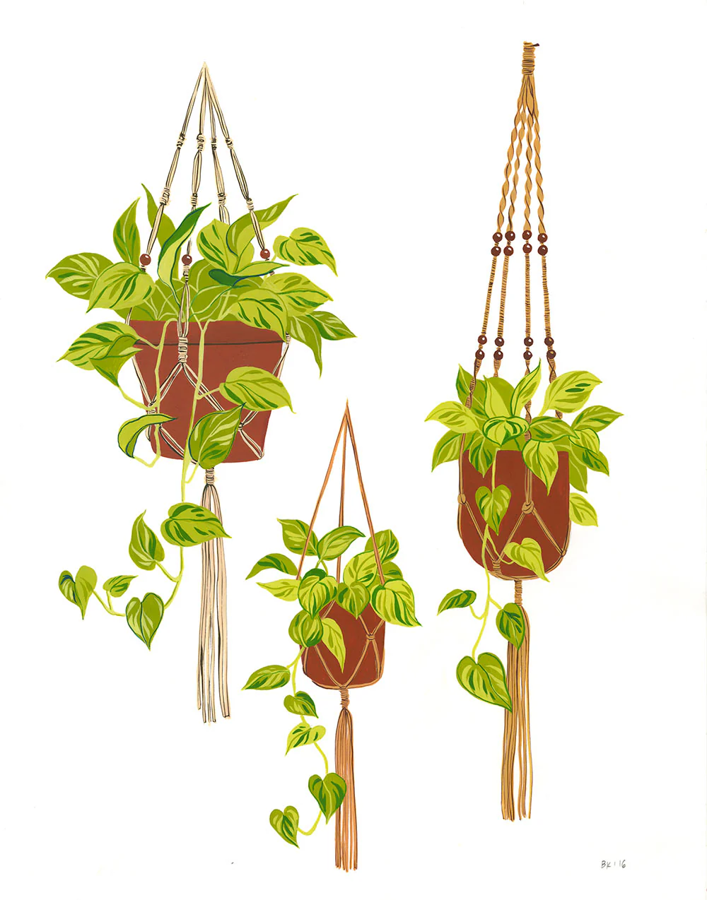 Bijou Karman - Hanging Plants - Image 2