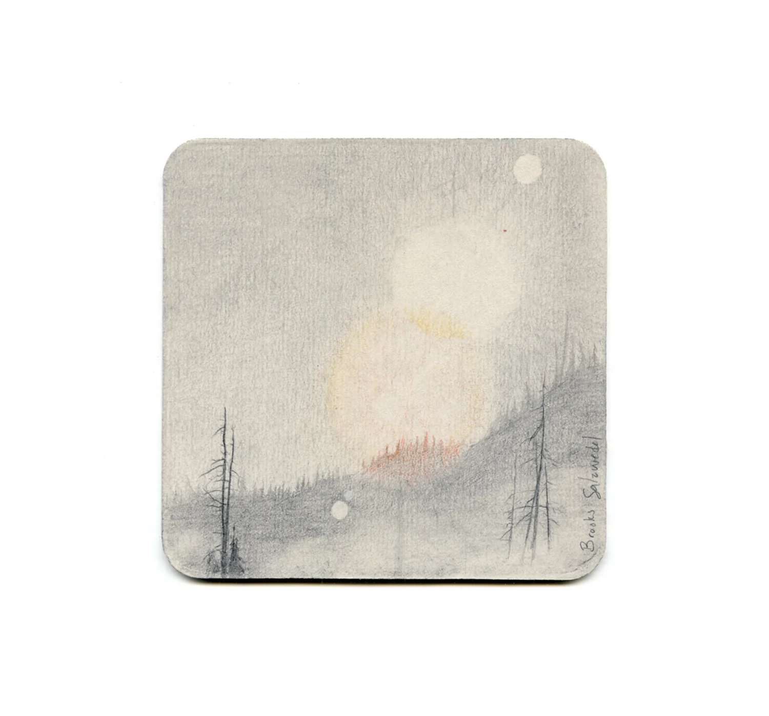 S2 Brooks Salzwedel - Fog and Trees Coaster