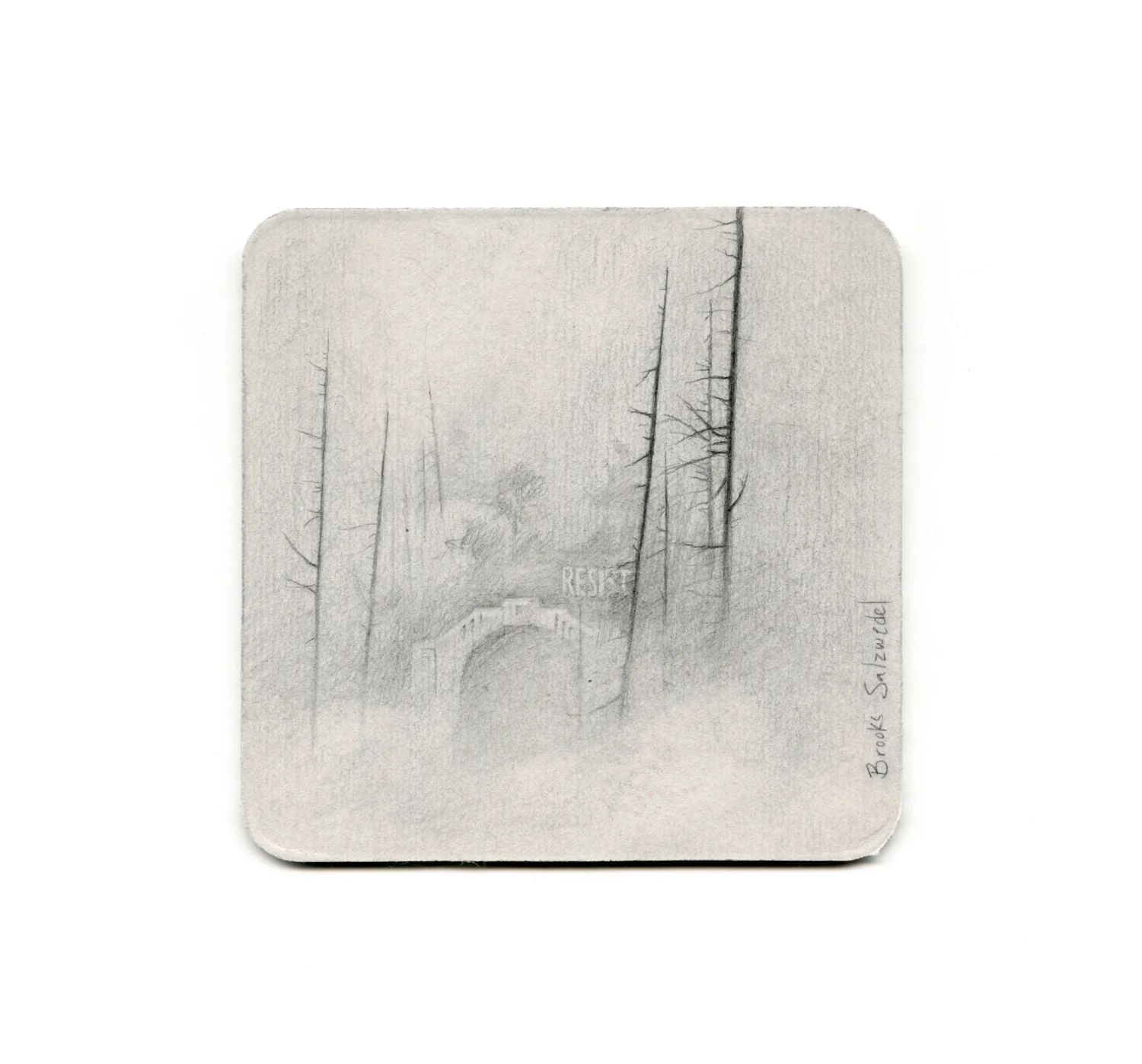 S2 Brooks Salzwedel - Up The 110 Fwy Coaster