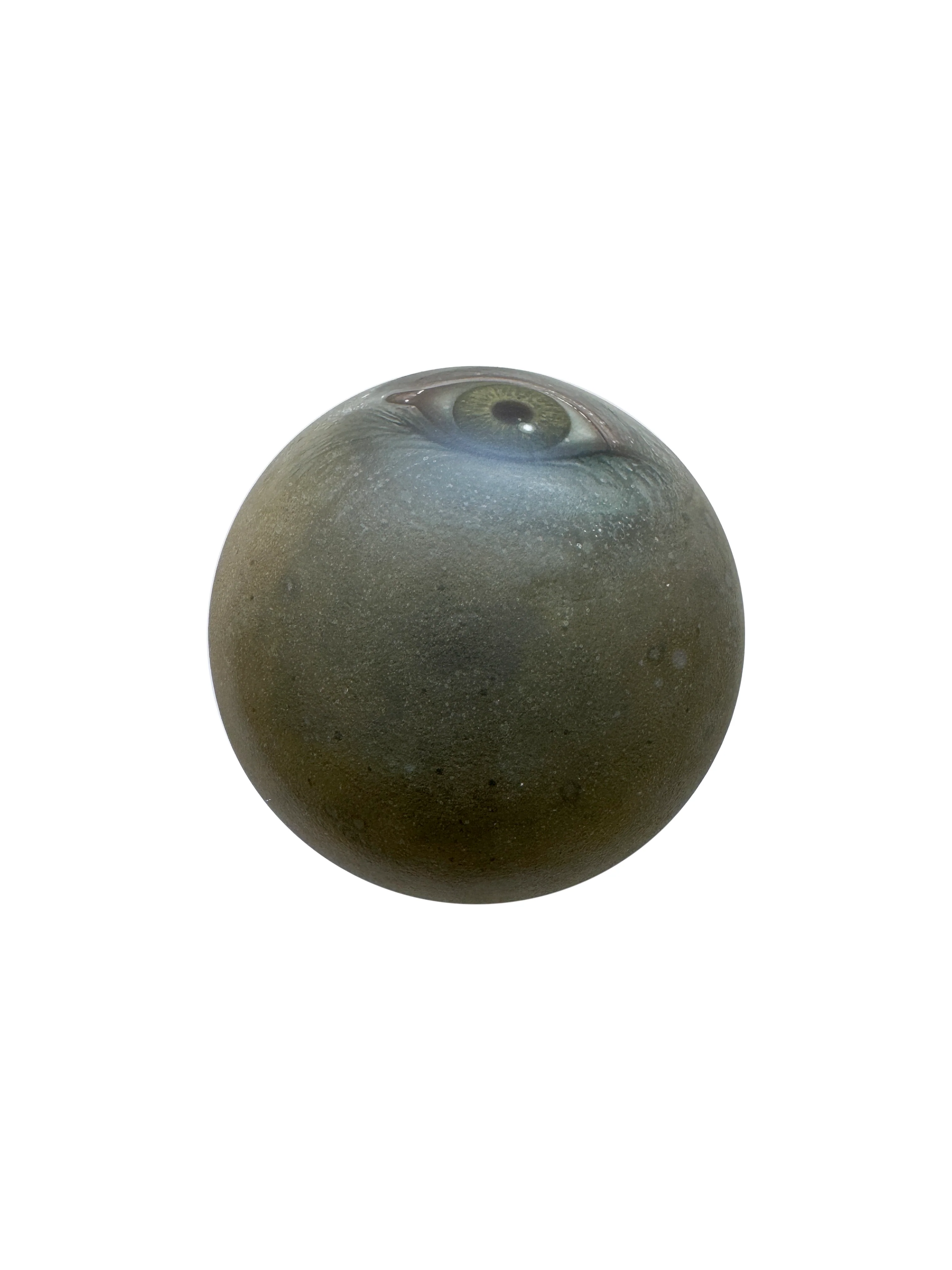 C2 - Ego Mushroom - Image 2