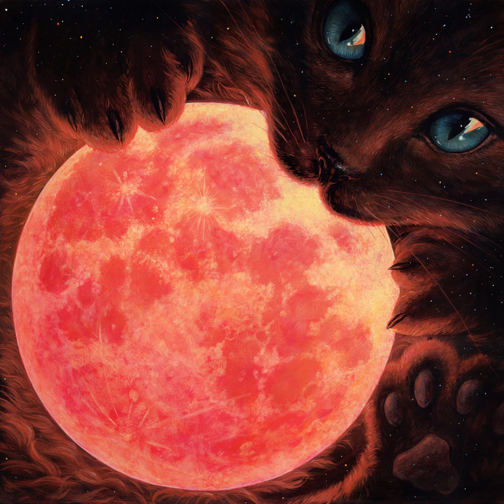 Casey Weldon - Luna