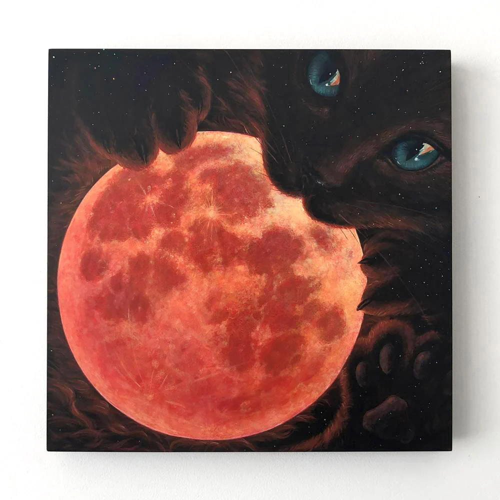 Casey Weldon - Luna - Image 2