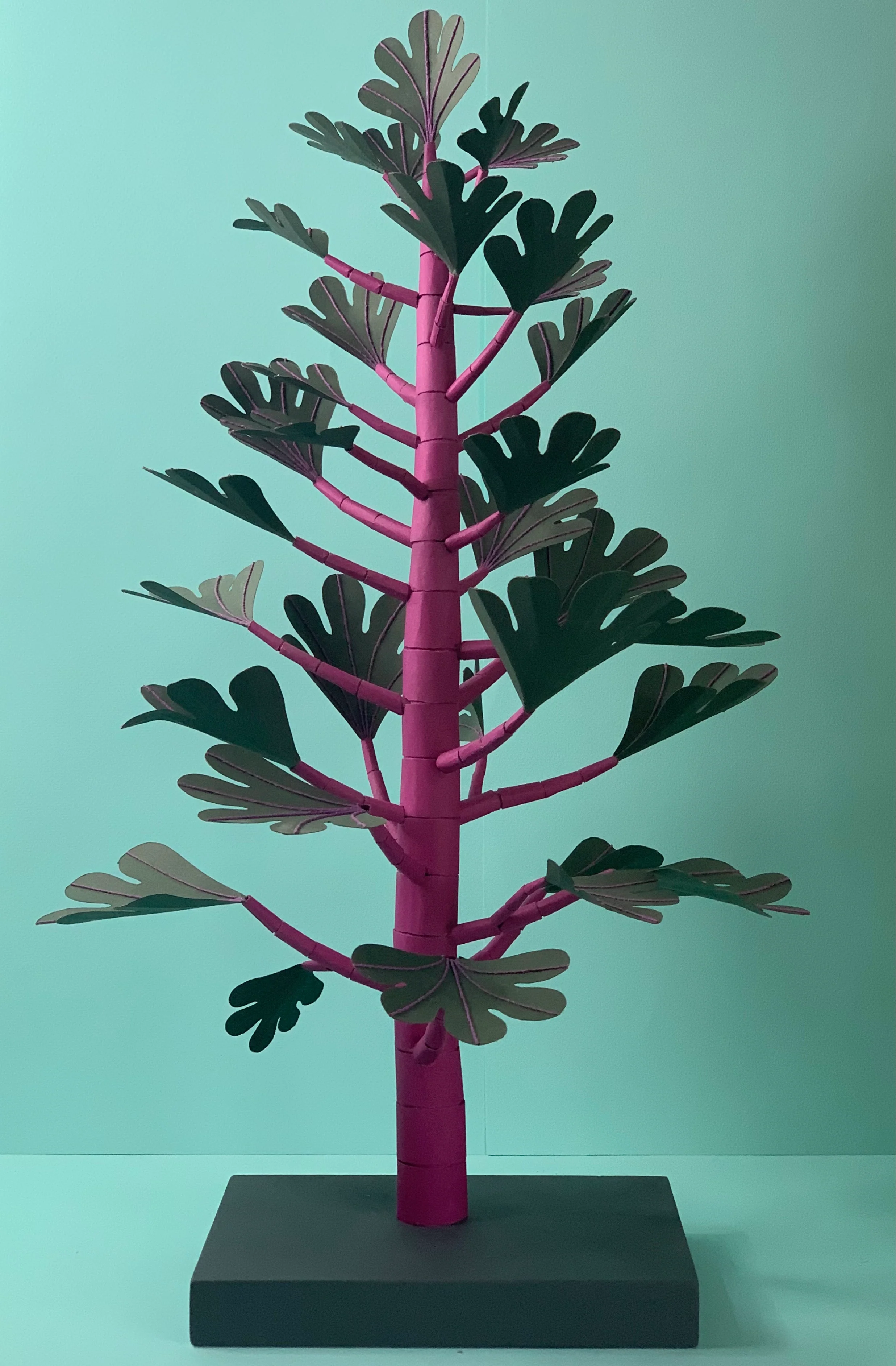 Cat Johnston - Beetroot plant
