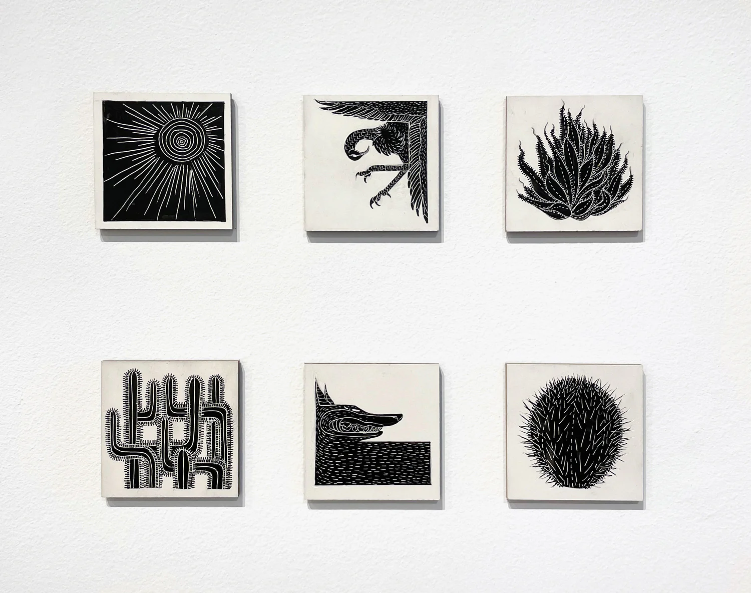Cristina Bencina - Coyote - Image 2