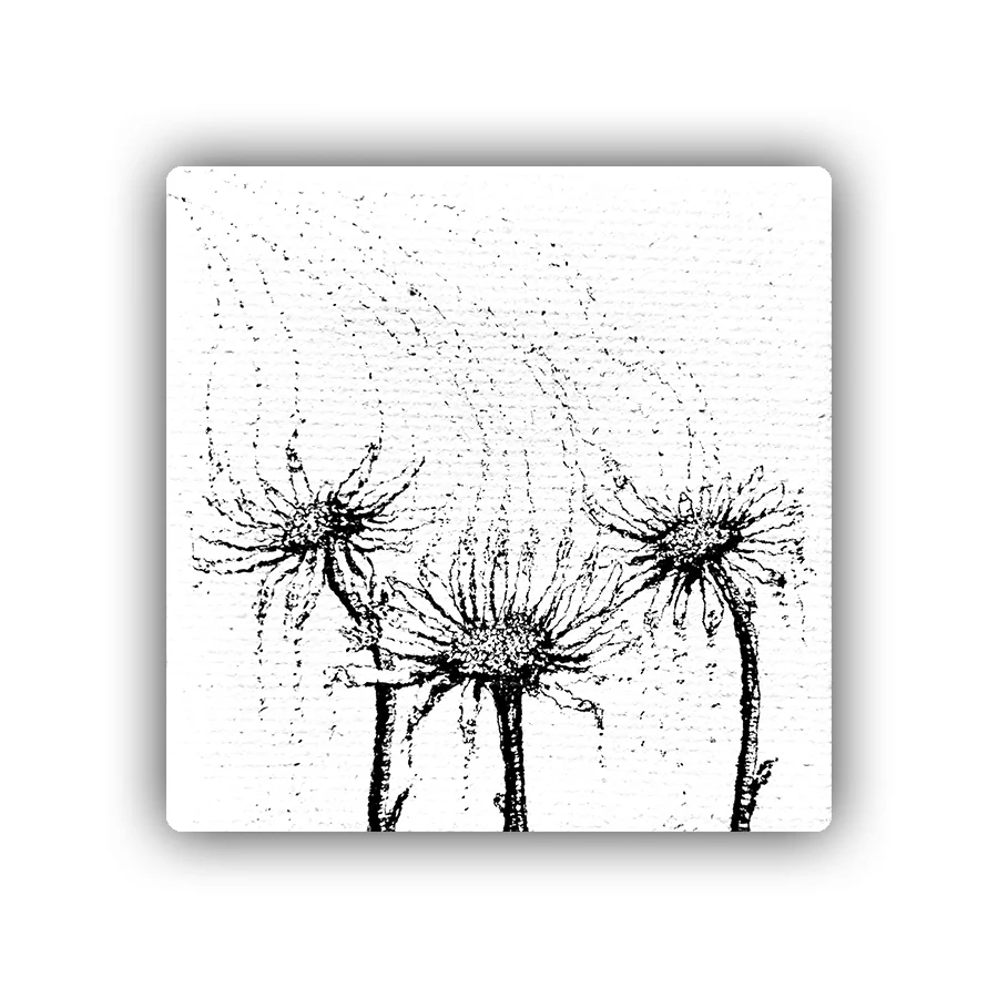 Colin Frangicetto - Decay 004