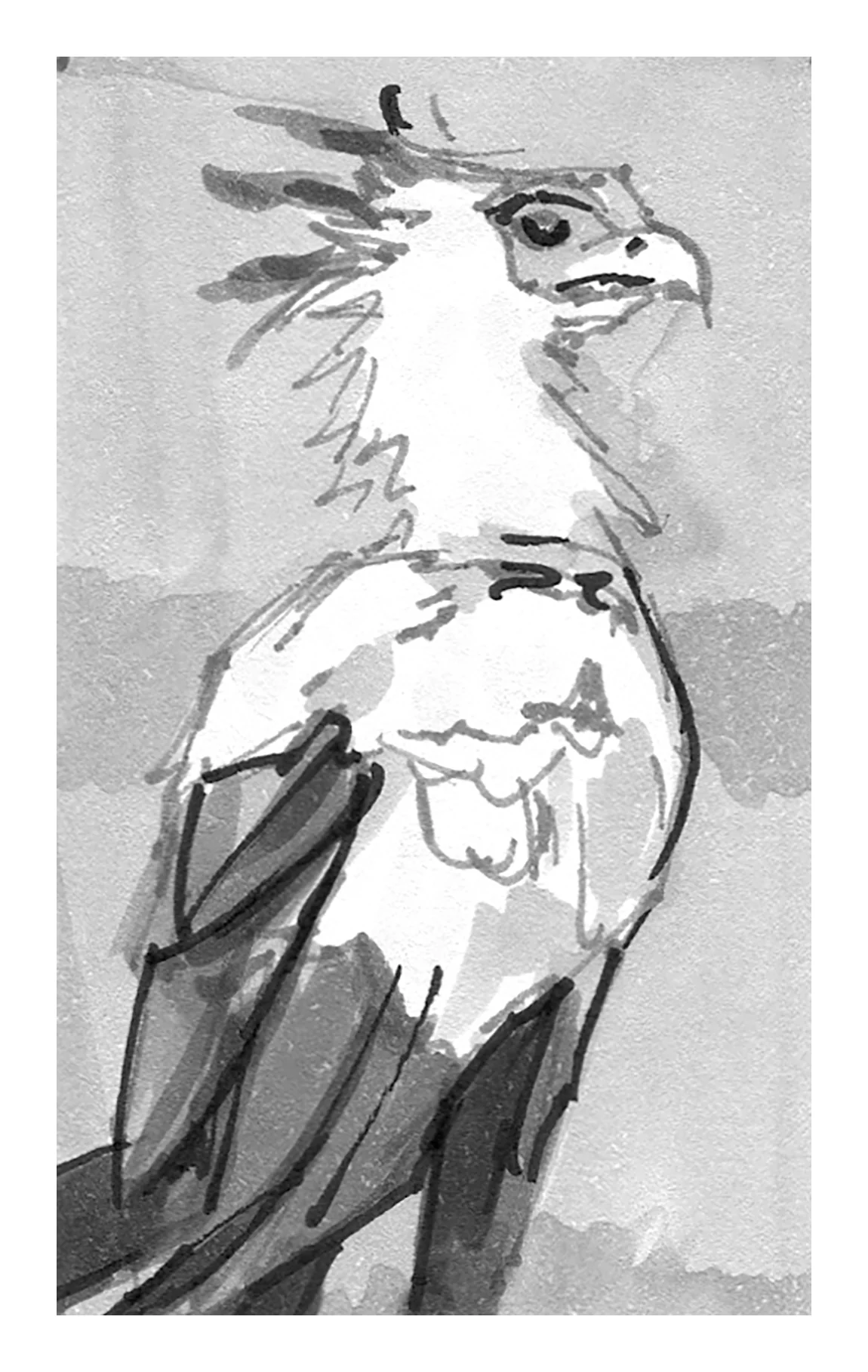 Bernard Lee - Secretary Bird