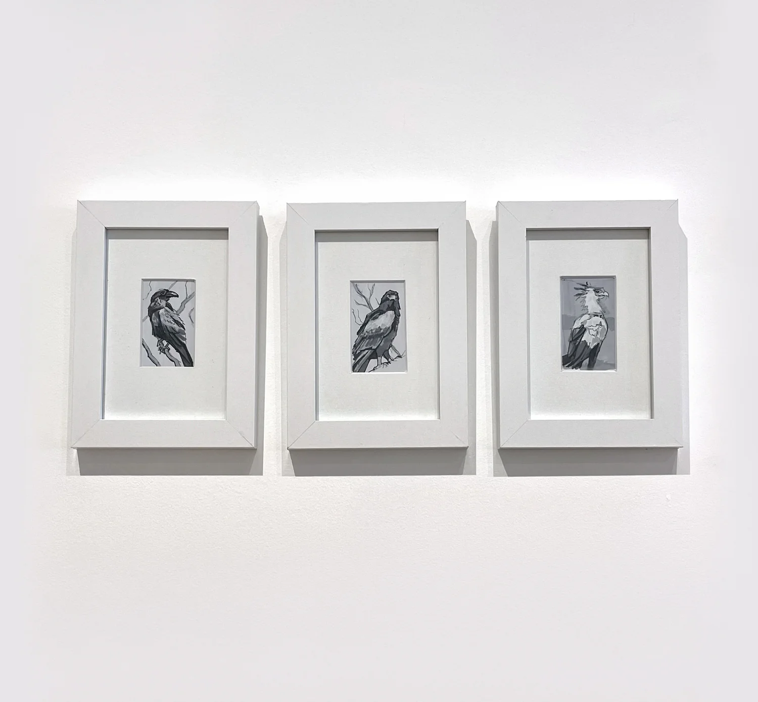 Bernard Lee - Secretary Bird - Image 2