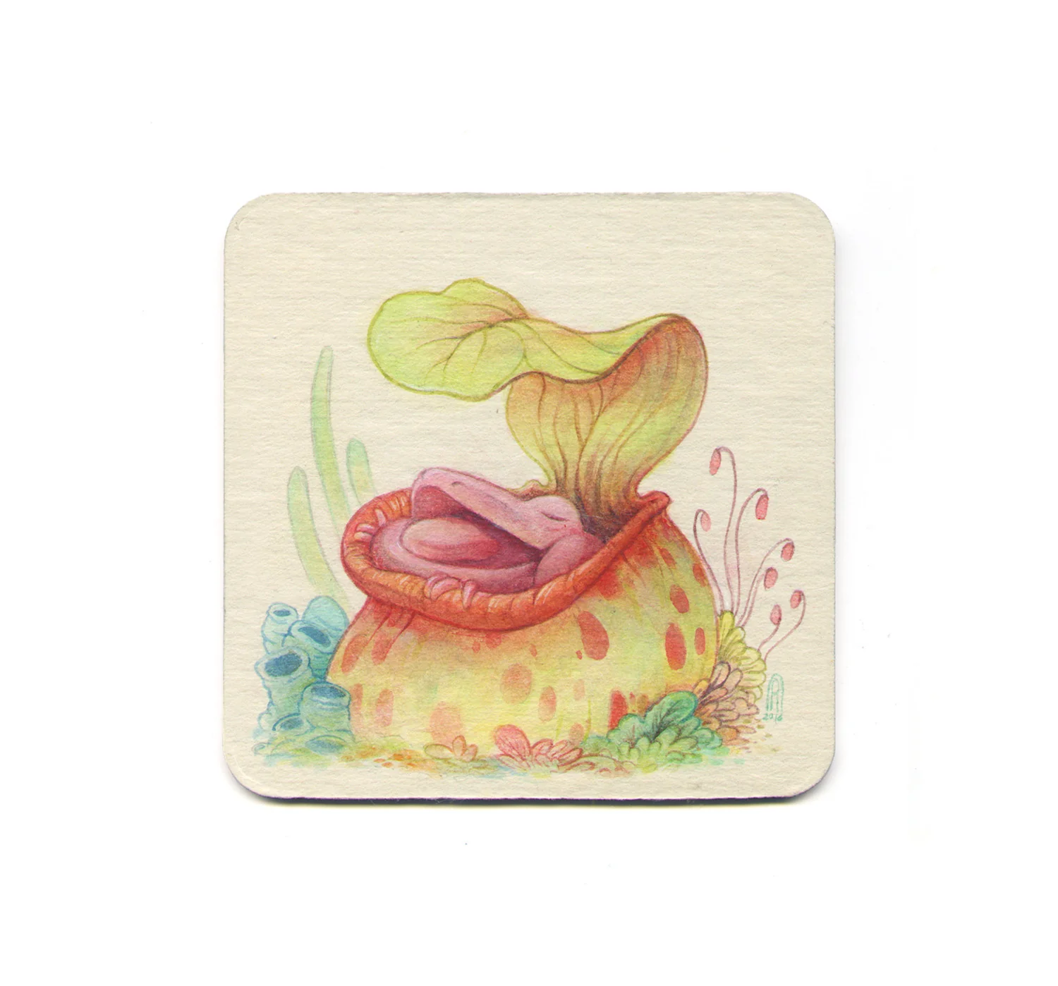 S1 Corinne Reid - 2 Coaster