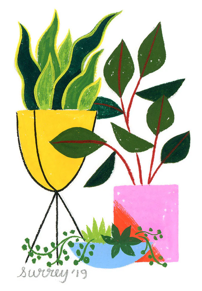 Ellen Surrey - Plant Parent