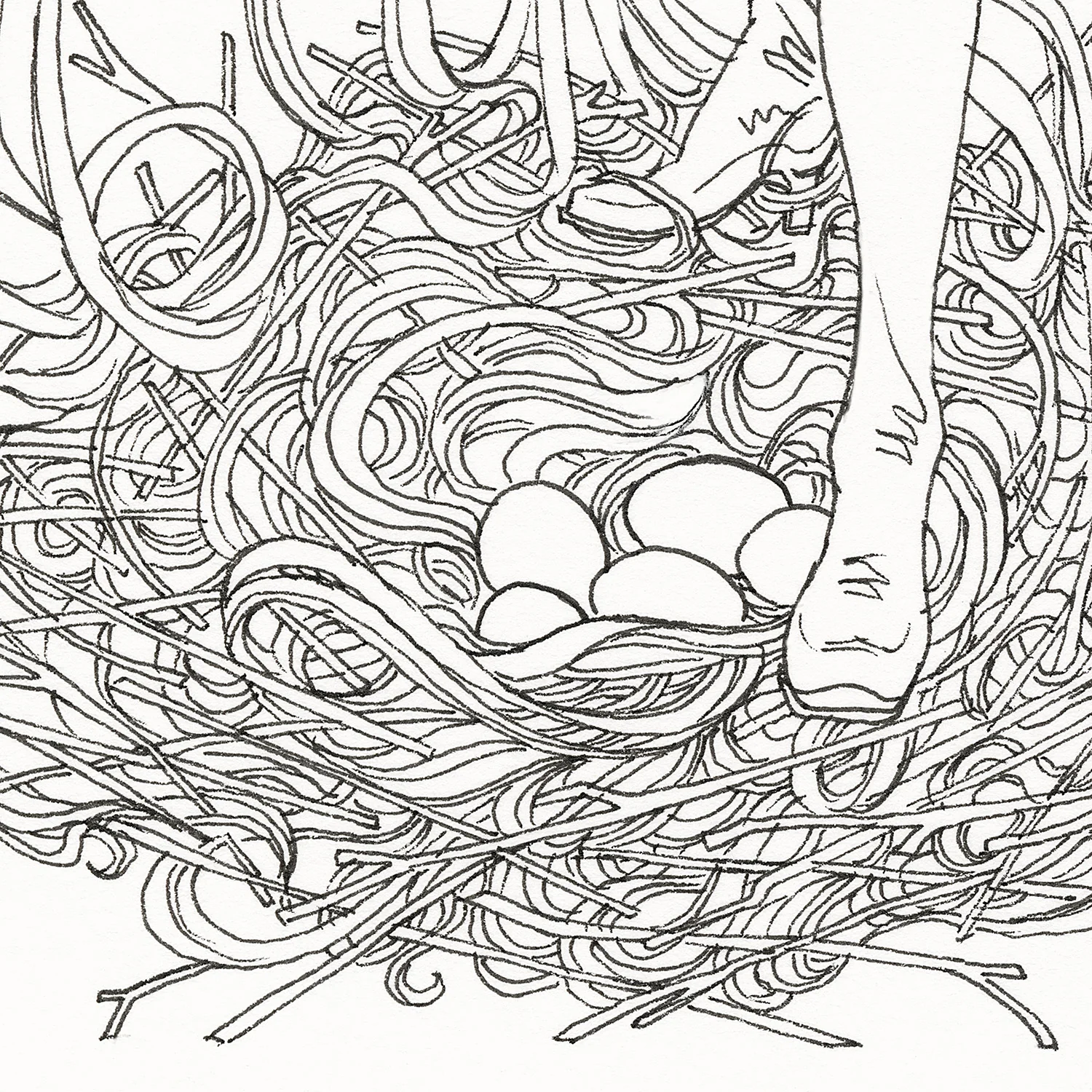 J.A.W. Cooper - Nesting - Image 5