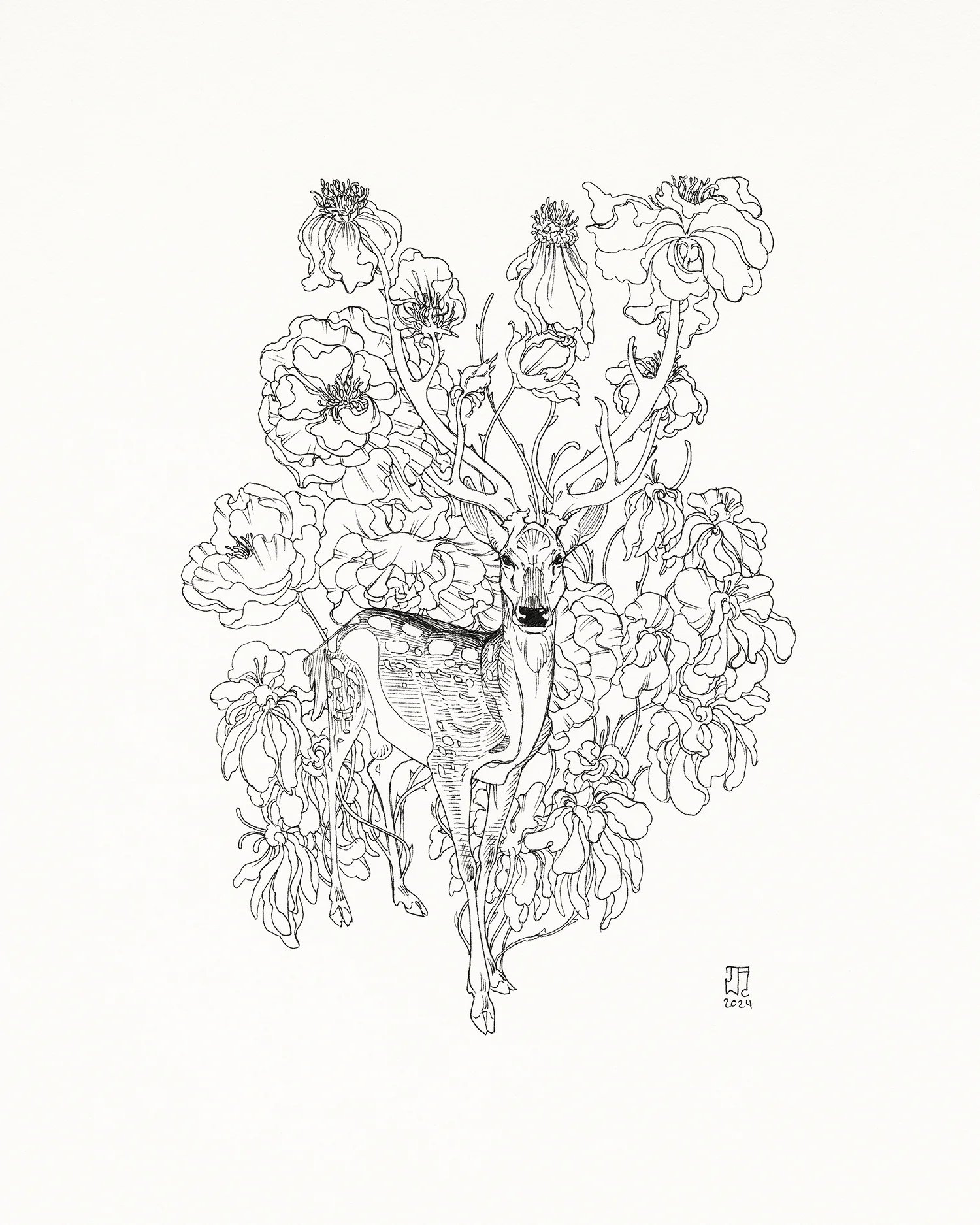 J.A.W. Cooper - Thorns - Image 3