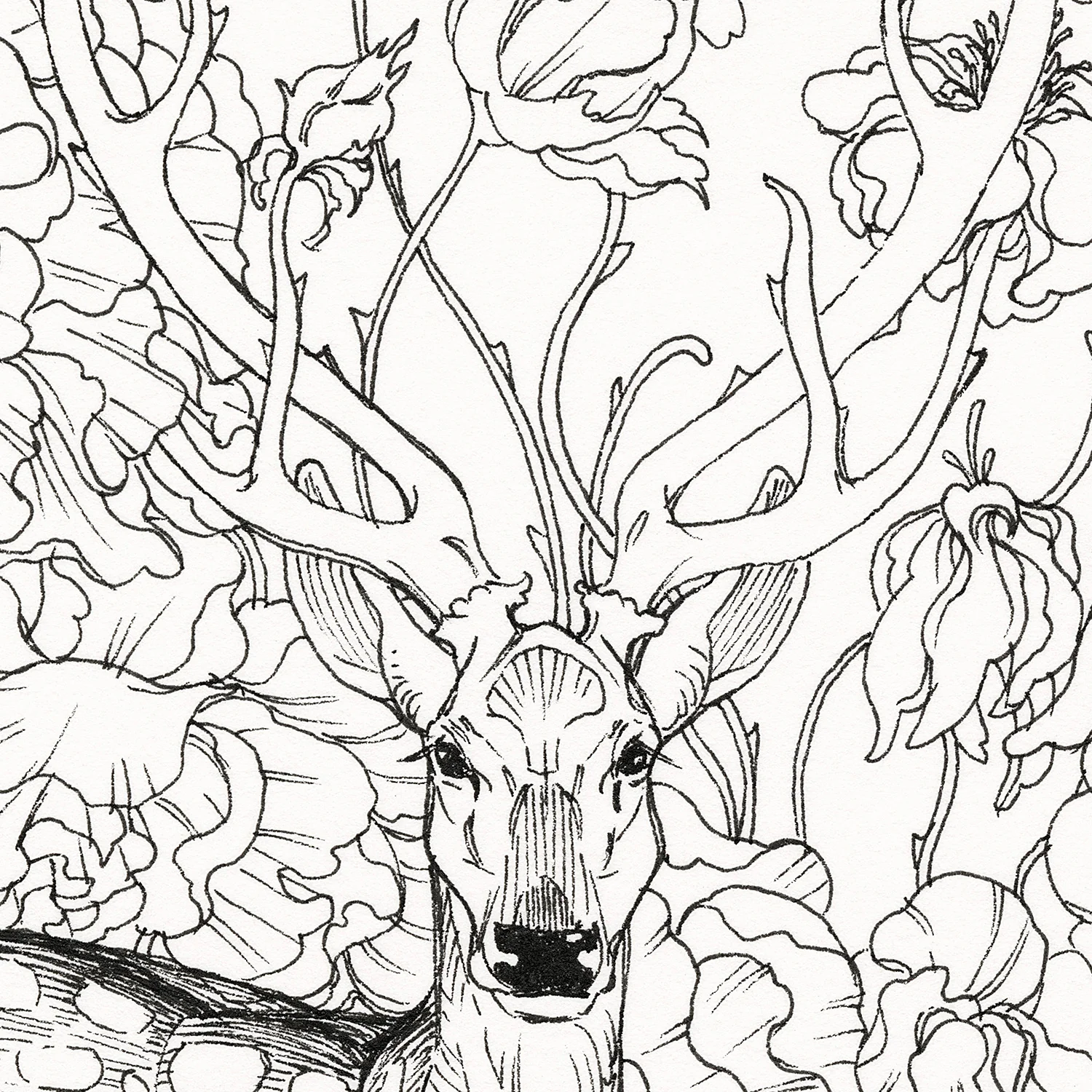 J.A.W. Cooper - Thorns - Image 4