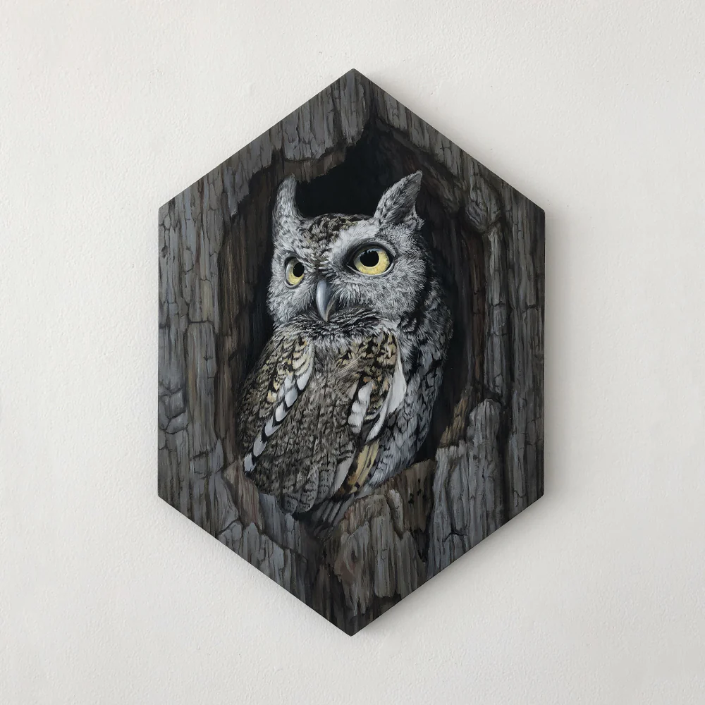 Jon Ching - Scout - Image 2