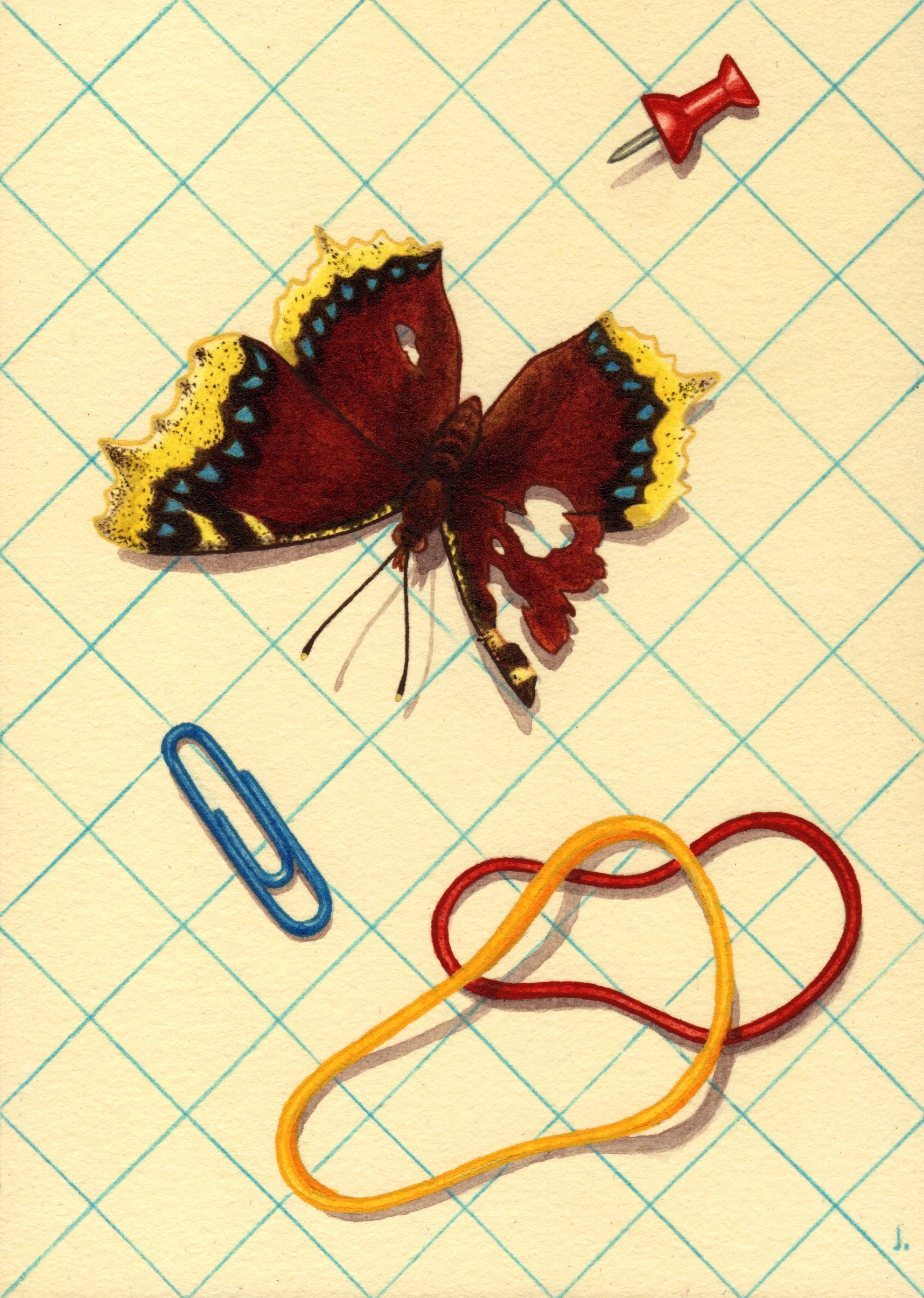 Julian Callos - Junk Drawer (Mourning Cloak)