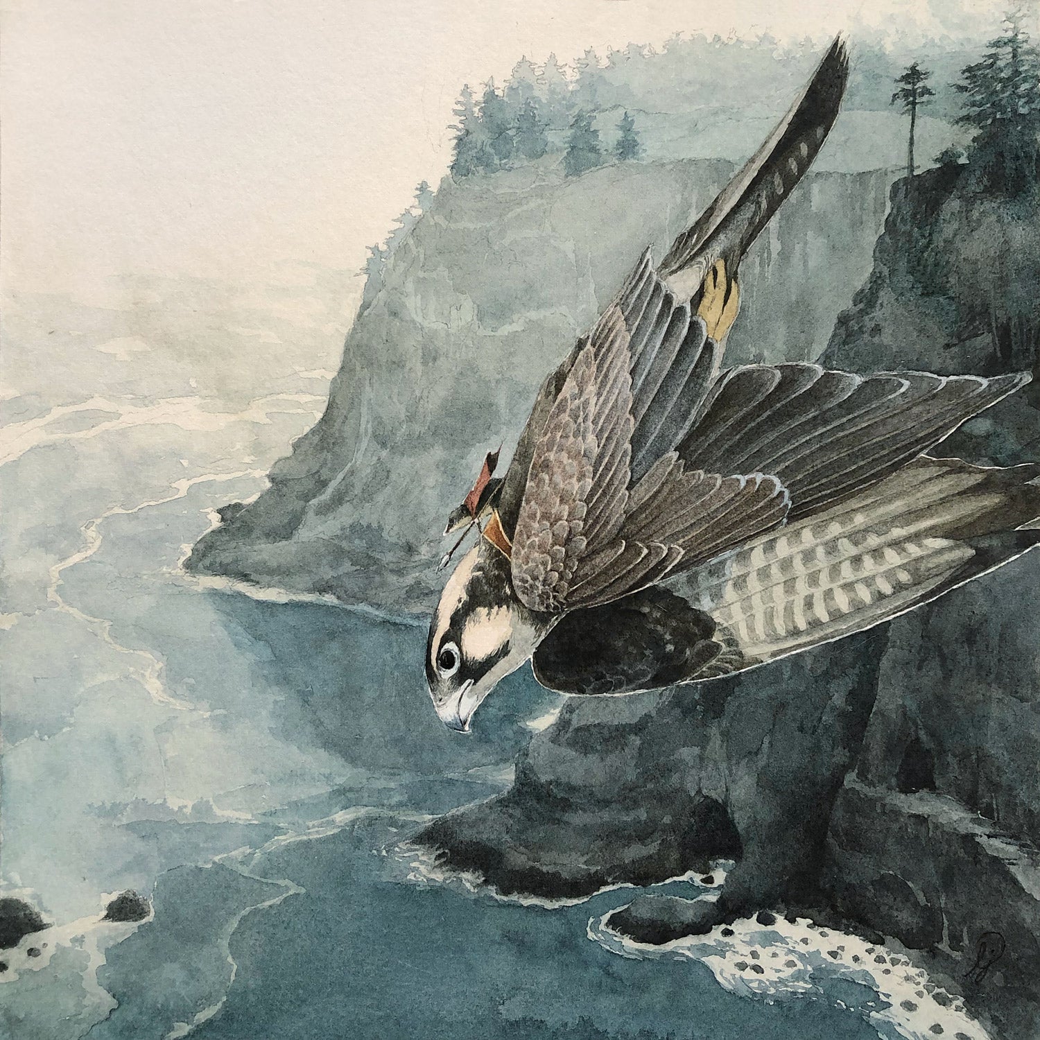 Lily Seika Jones - Cliffs
