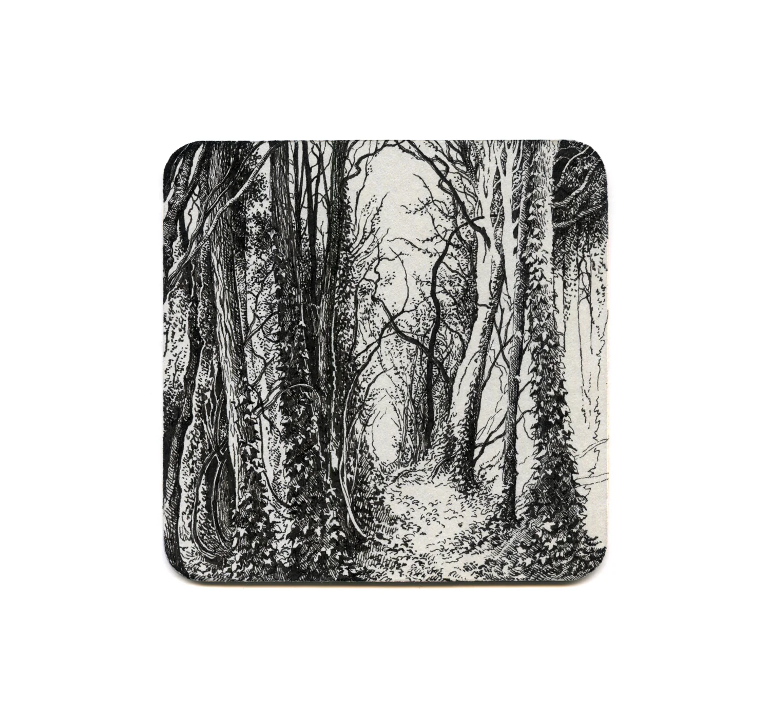 S2 Lily Seika Jones - The Wood Coaster