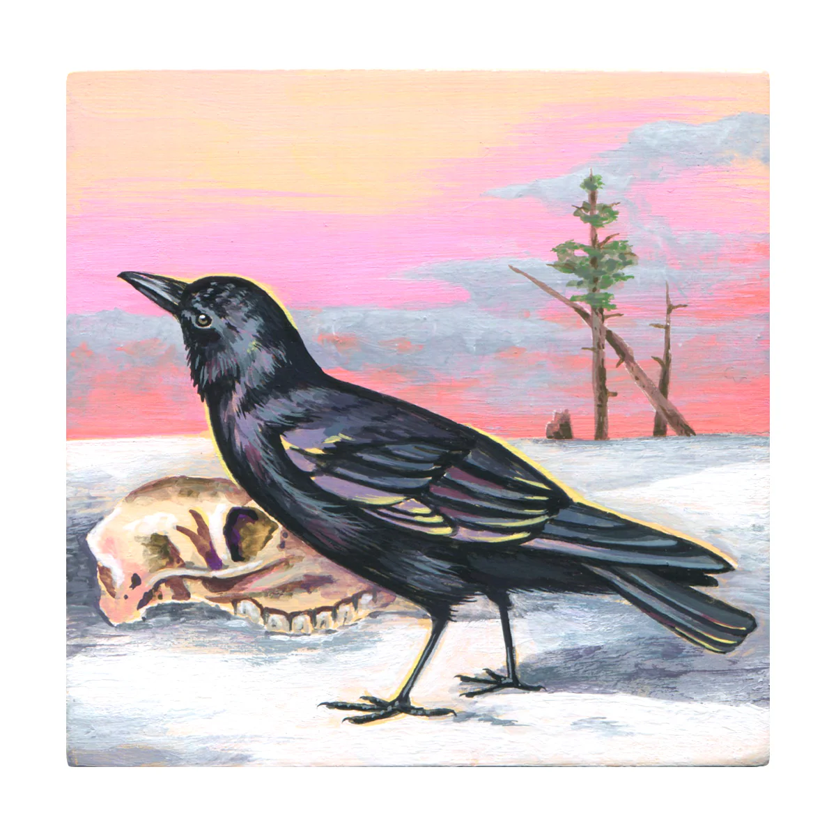 ipaintbirbs - American Crow