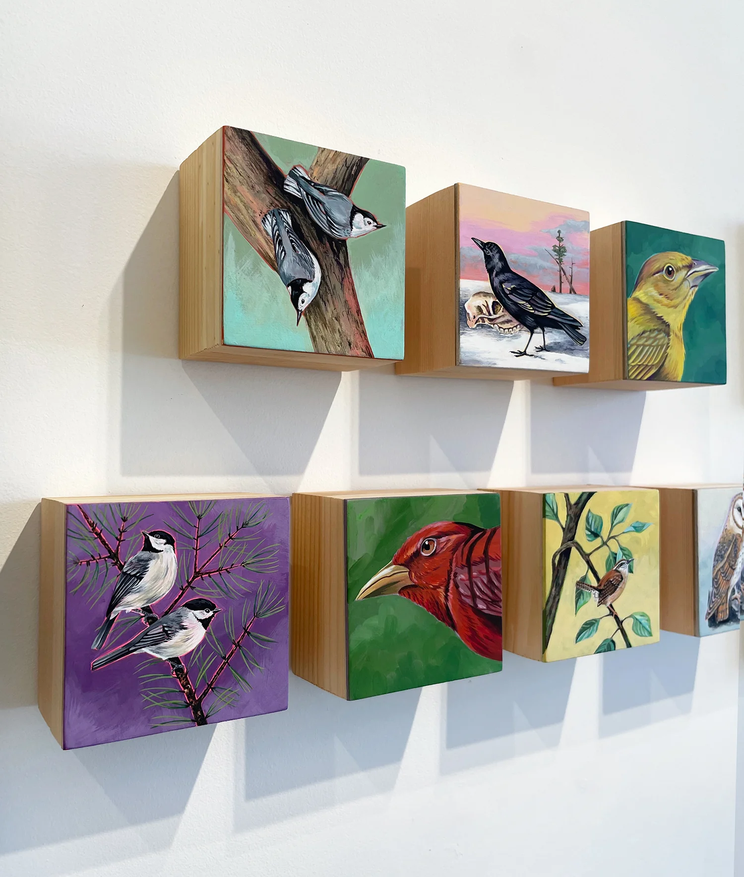 ipaintbirbs - Carolina Wren - Image 3