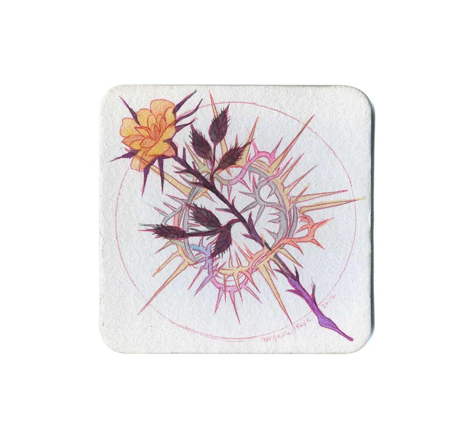 S2 Morgaine Faye - 4 Coaster