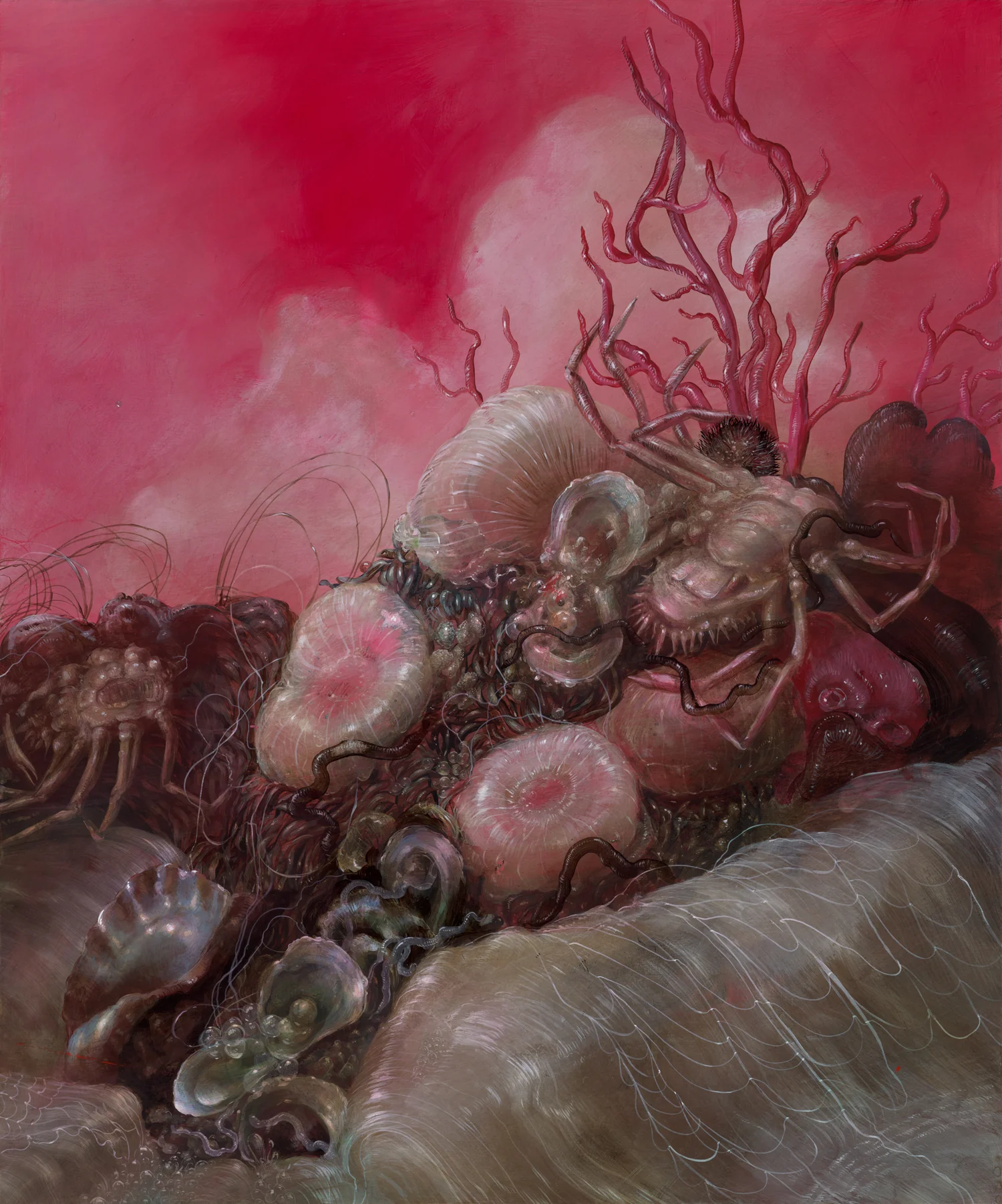 Nicole Duennebier - Bounty of Pink Beach