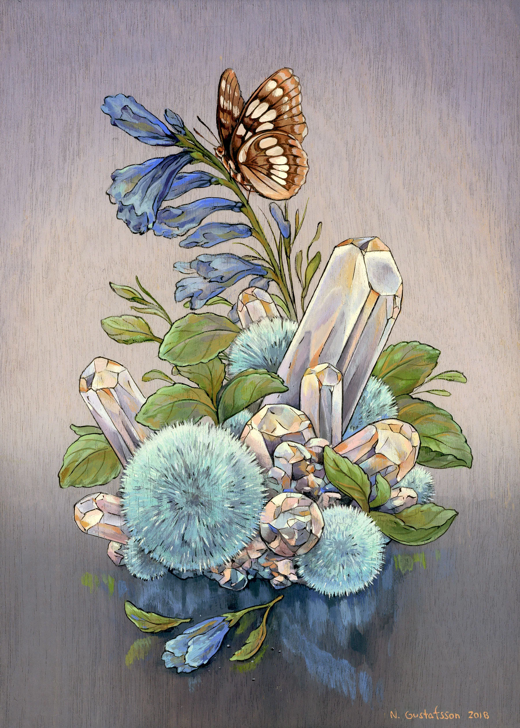 Nicole Gustafsson - Lorquin's Admiral - Image 2