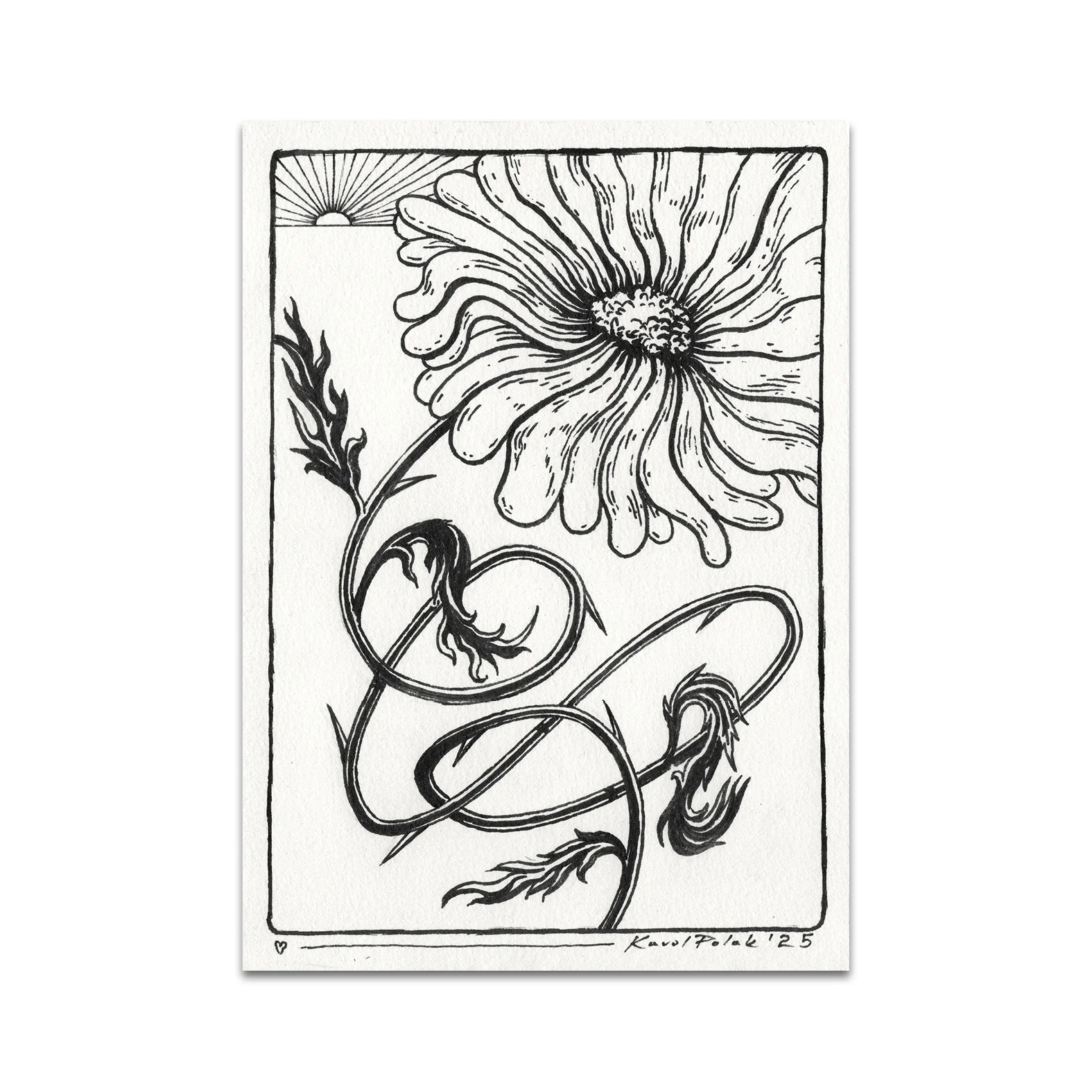 P10 - Karol Polak Postcard 4