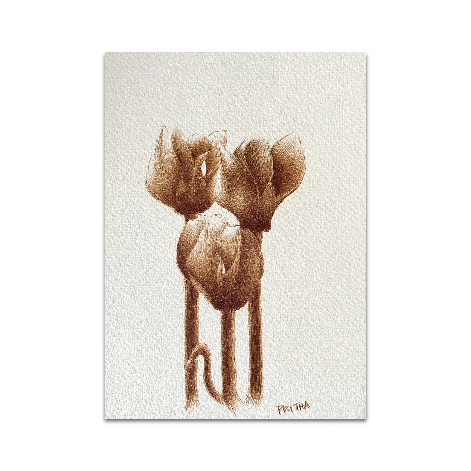 P10 - Pritha Bhadra Postcard 1