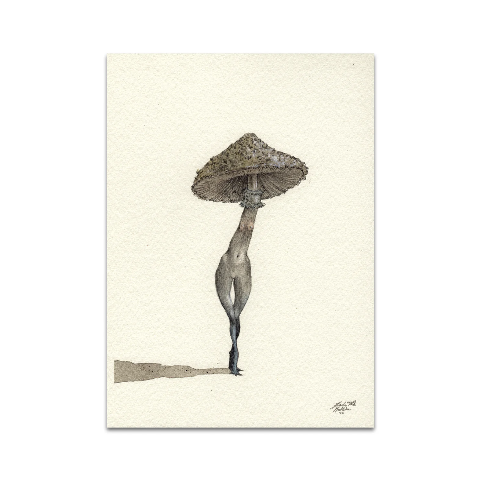 P10 - Rustlehare Postcard 3