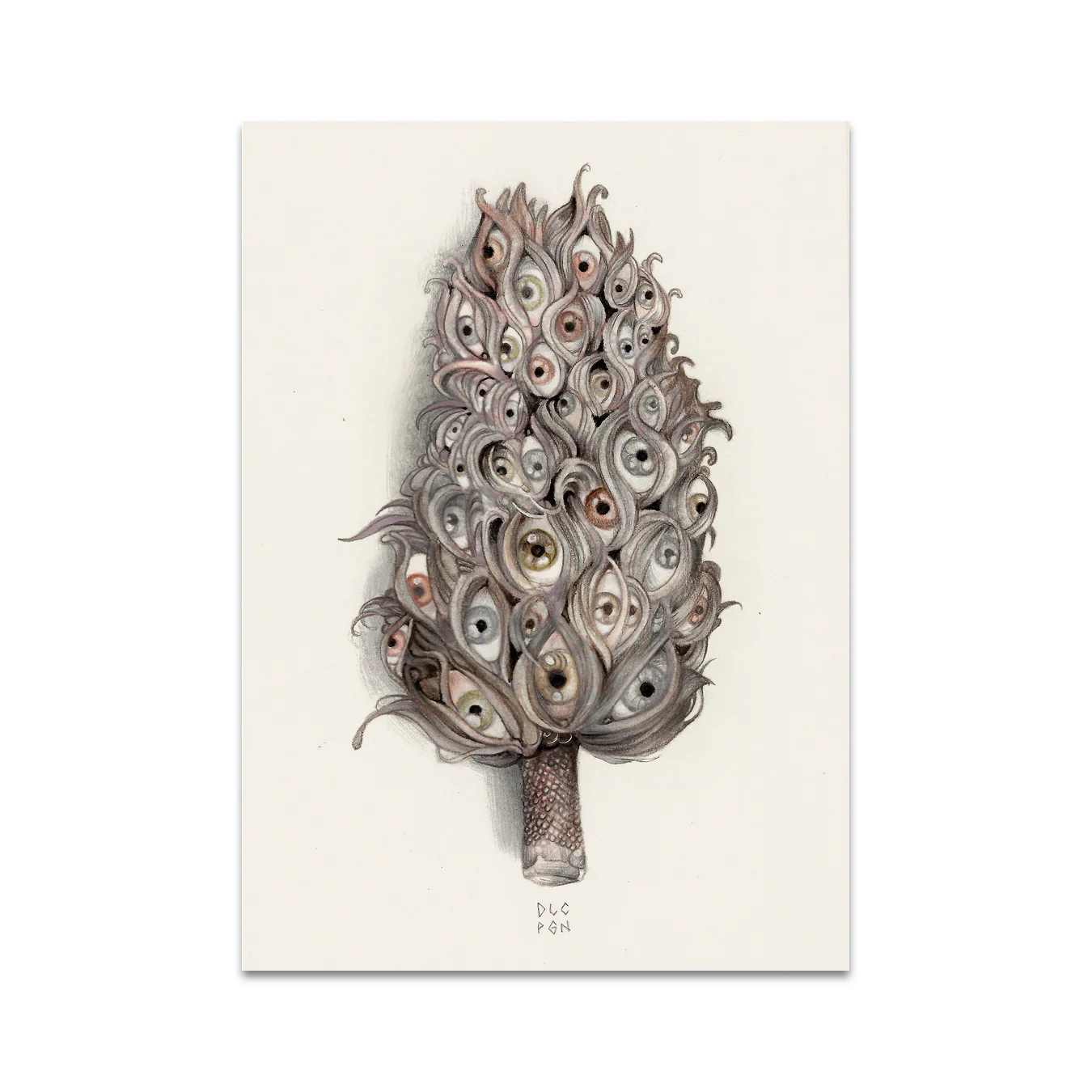 P5 Dolce Paganne - 2 Postcard