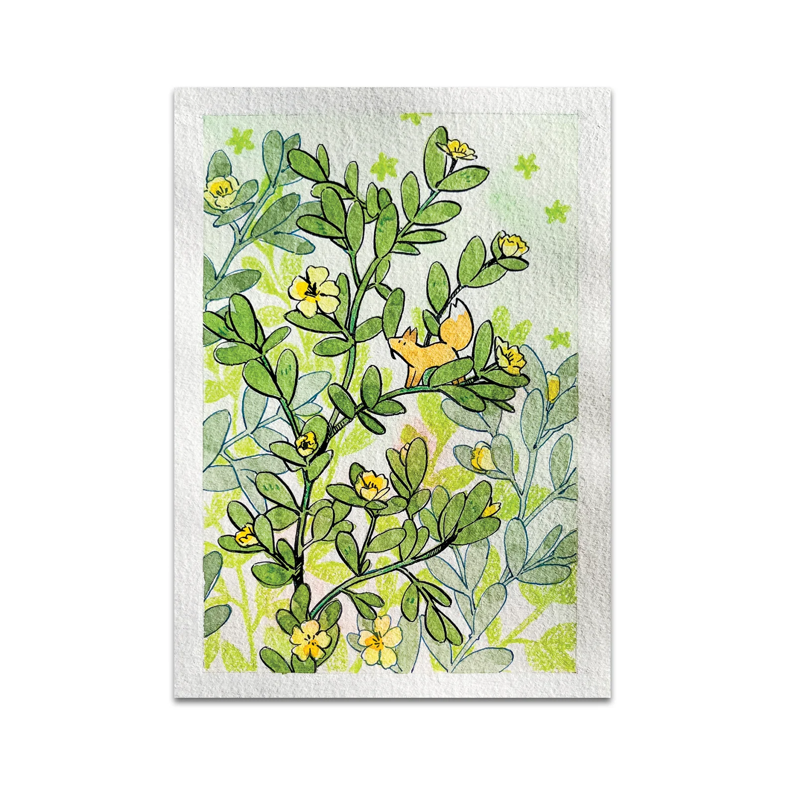 P9 - ameru Postcard 1