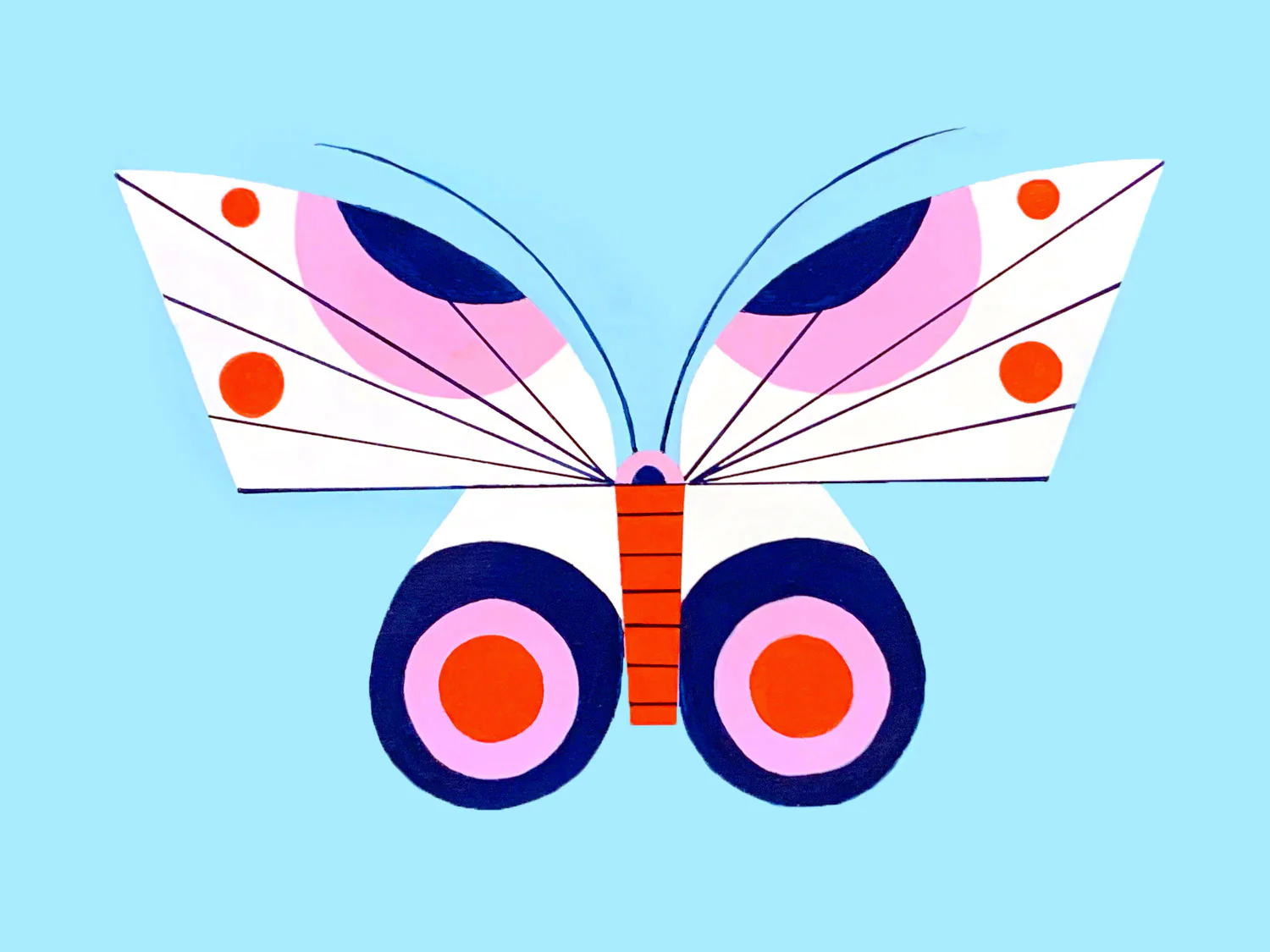 Patrick Hruby - Butterfly