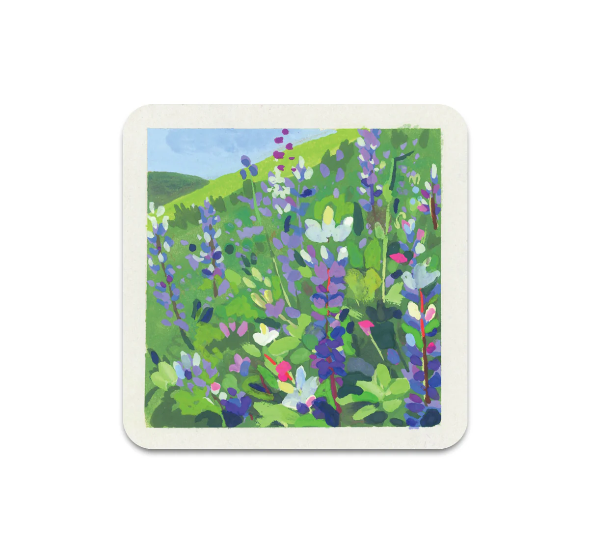 S10 Amanda Grose - Coaster 4
