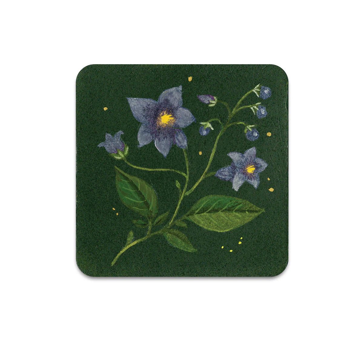 S10 Kelly Louise Judd - Coaster 3