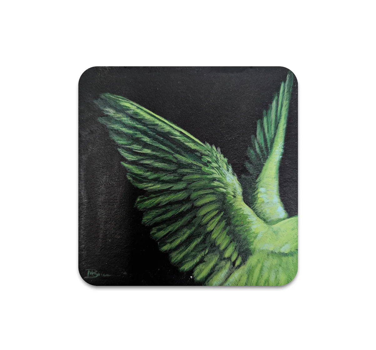 S10 Megan Buccere - Coaster 1