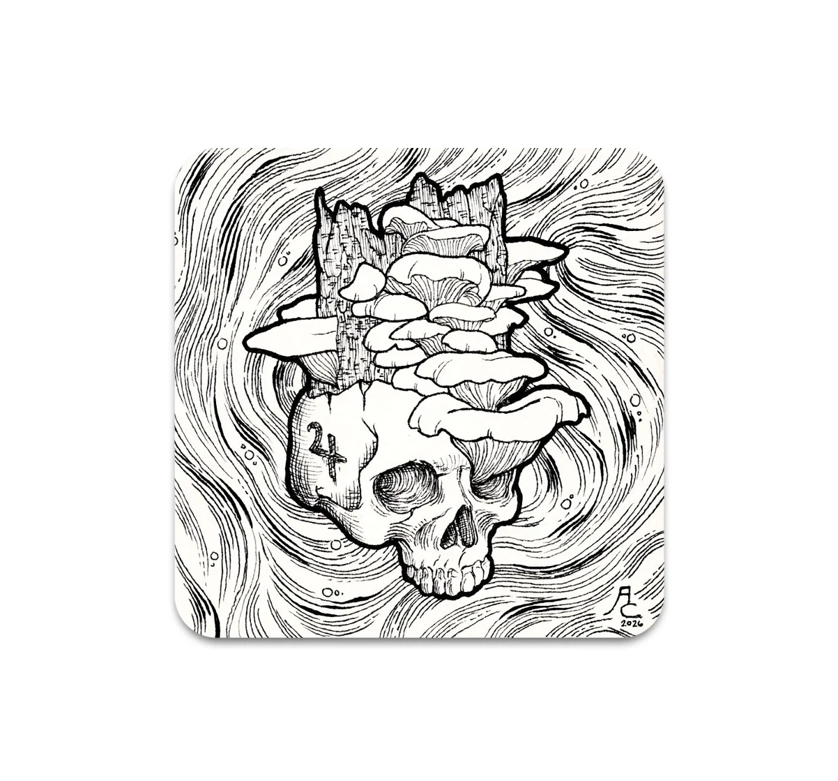 S11 Alex Cabal - Coaster 4