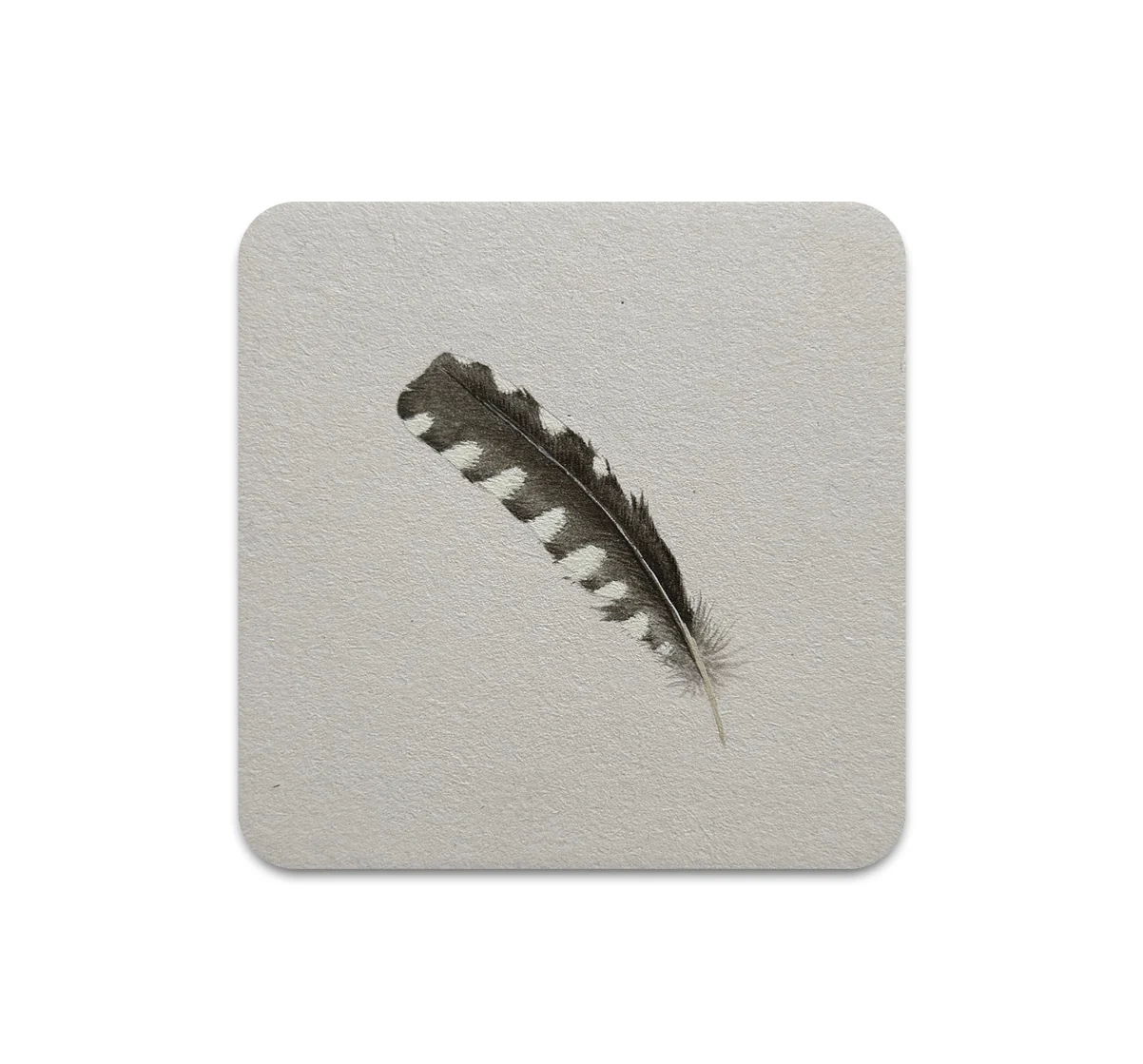 S11 Allison May Kiphuth - Coaster 1