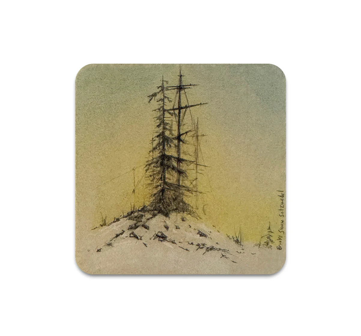 S11 Brooks Shane Salzwedel - Coaster 2