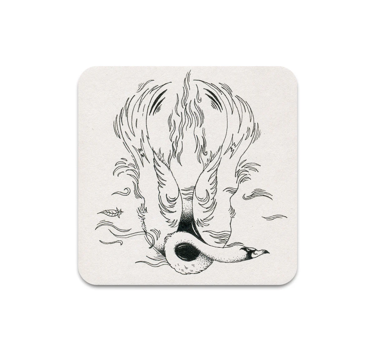 S11 Cristina Bencina - Coaster 2