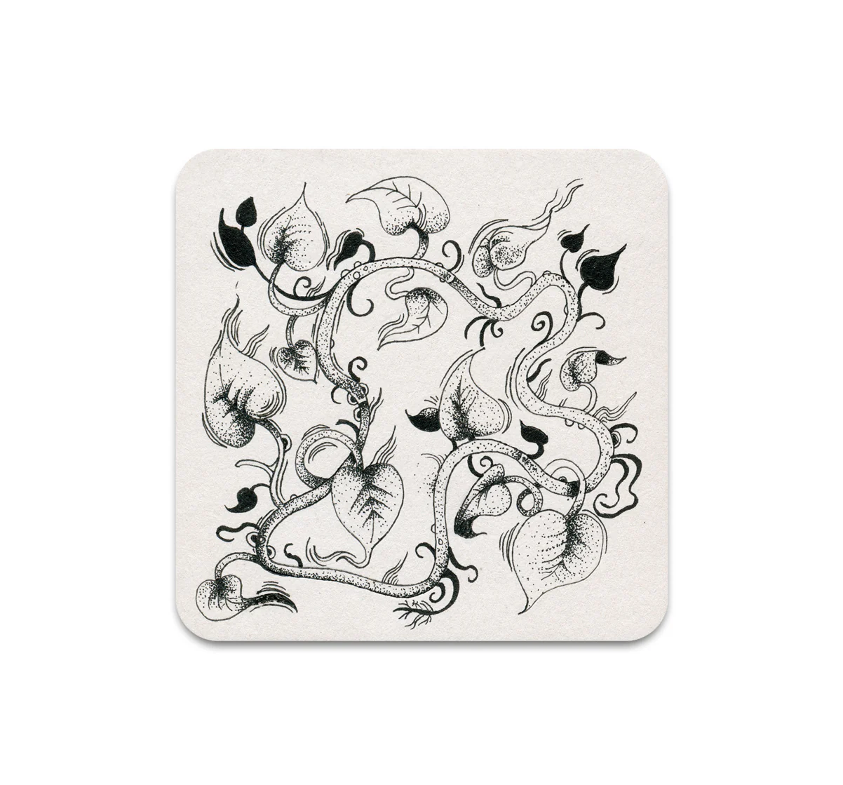 S11 Cristina Bencina - Coaster 4