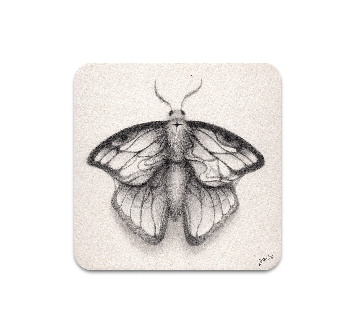 S11 Jamie Wells - Coaster 5