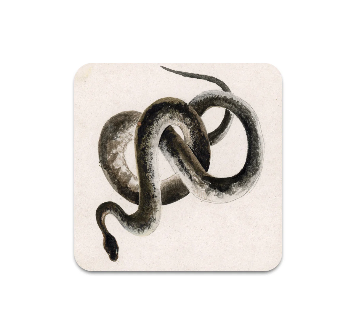 S11 Kevin Earl Taylor - Coaster 2