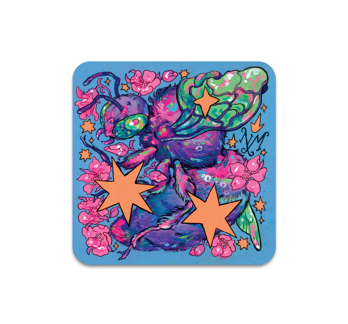 S11 Niky Motekallem - Coaster 3