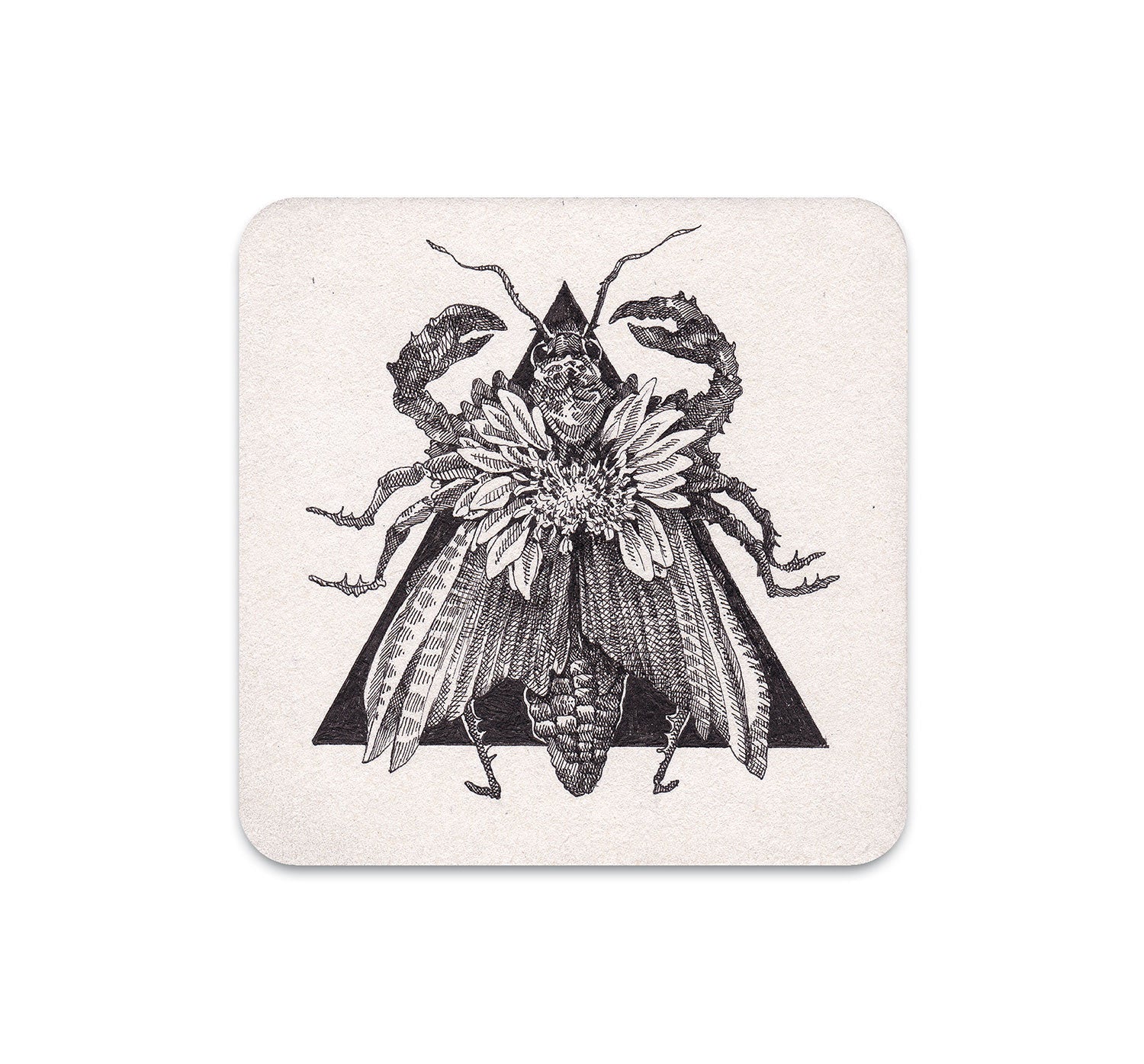 S4 Song Kang - 3 Coaster
