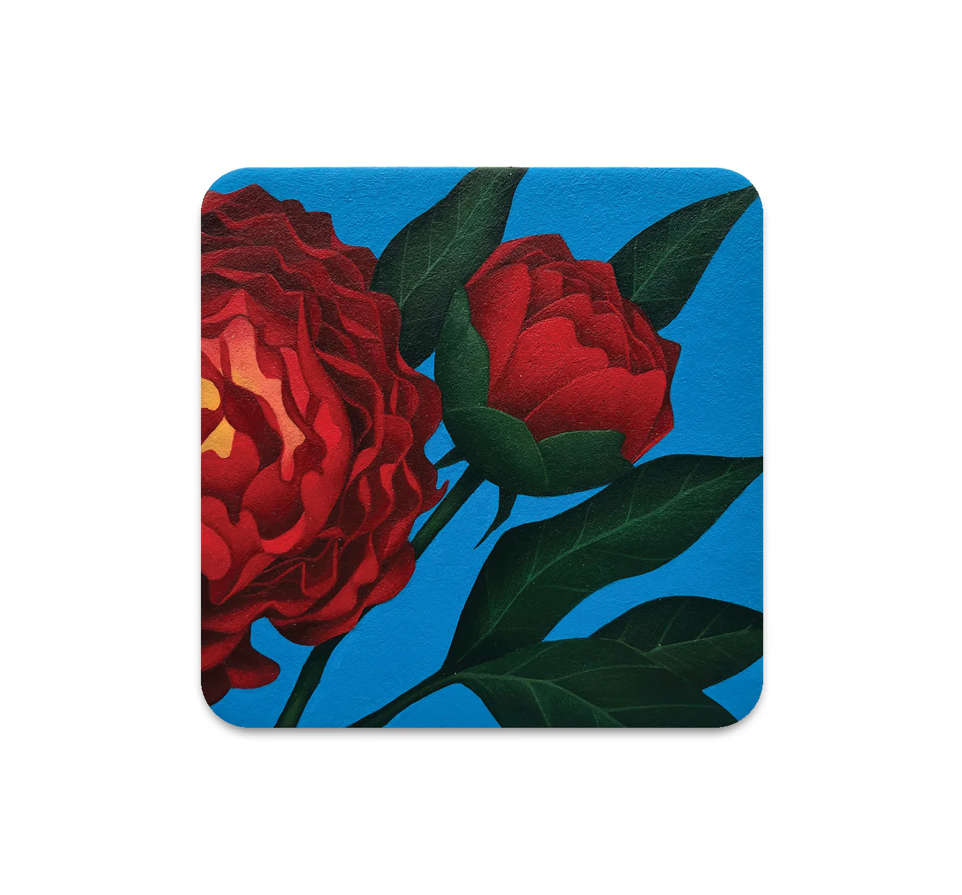 S5 Gustavo Rimada - 4 Coaster