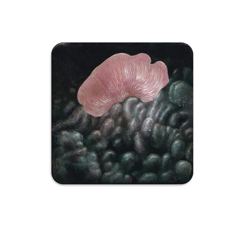 S5 Nicole Duennebier - 1 Coaster