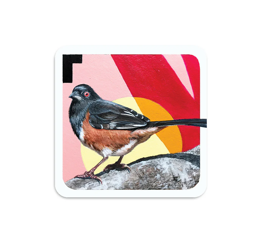 S5 Steve Martinez - 2 Coaster