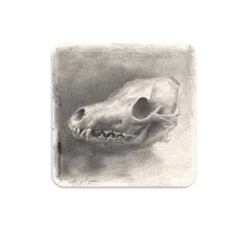S5 Zachary Oldenkamp - 3 Coaster